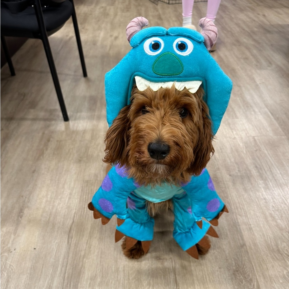 Monsters Inc James Sullivan Dog Costume Medium
